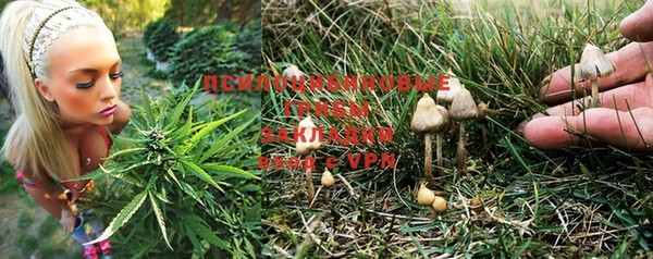 синтетический гашиш Лихославль