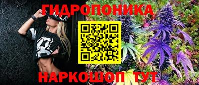 хмурый Можга