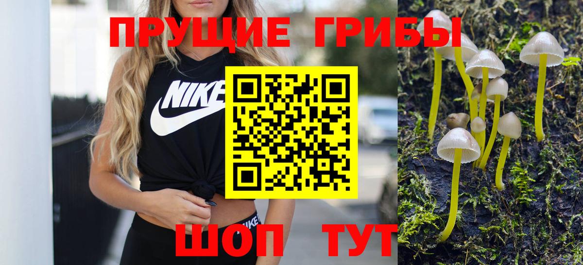 Татарск  Галлюциногенные грибы Cubensis  Вход с VPN 