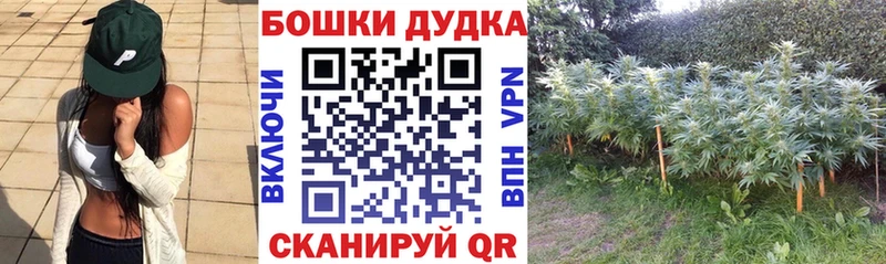 Марихуана план  Татарск 